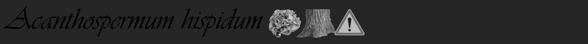Étiquette de : Acanthospermum hispidum - format a - style noire29basiqueviv avec comestibilité simplifiée