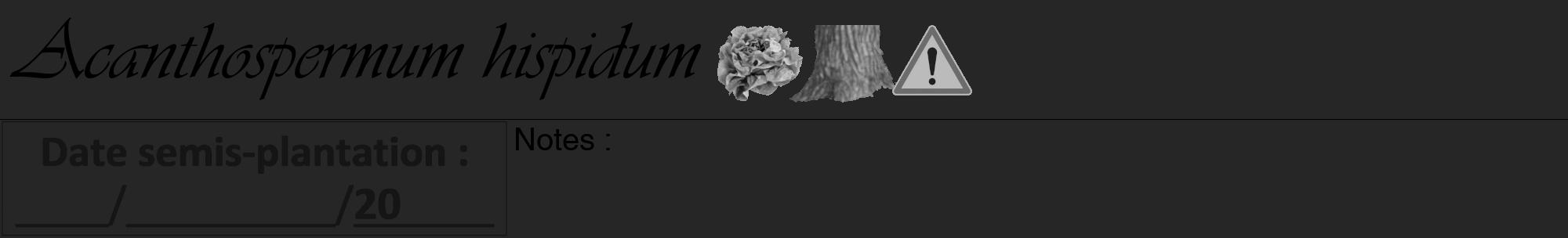Étiquette de : Acanthospermum hispidum - format a - style noire29basiqueviv avec comestibilité simplifiée