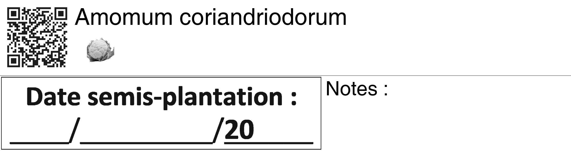 Étiquette de : Amomum coriandriodorum - format c - style noire60_basiquegrrvhel avec qrcode et comestibilité simplifiée