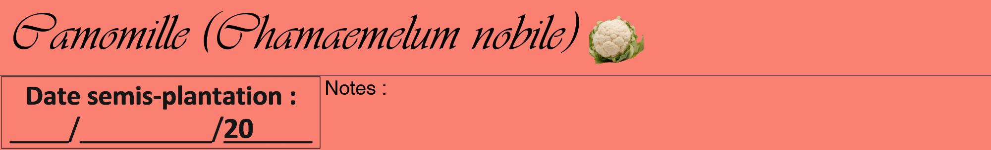 Étiquette de : Chamaemelum nobile - format a - style noire38viv avec comestibilité simplifiée