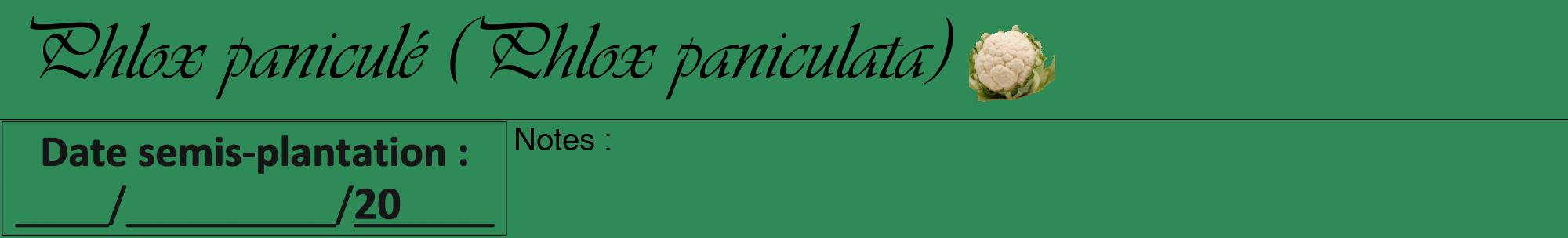 Étiquette de : Phlox paniculata - format a - style noire11viv avec comestibilité simplifiée
