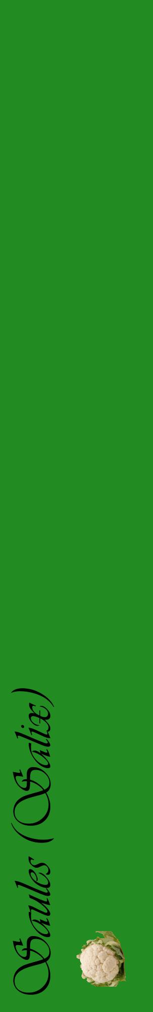 Étiquette de : Salix - format c - style noire10_basiqueviv avec comestibilité simplifiée