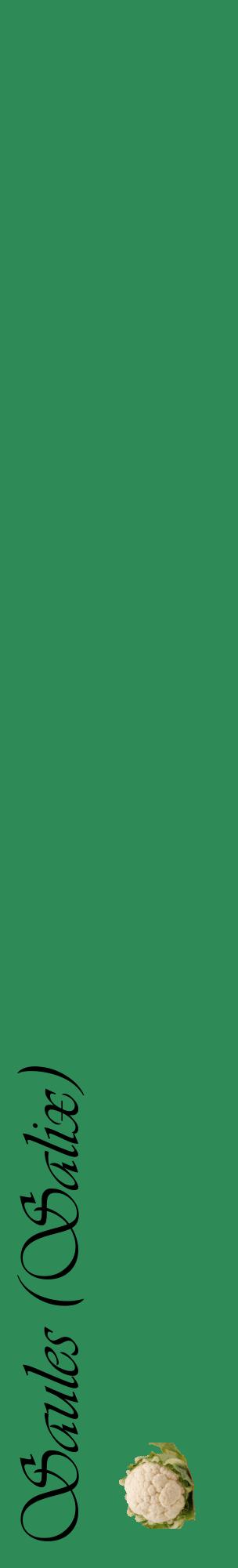 Étiquette de : Salix - format c - style noire11_basiqueviv avec comestibilité simplifiée