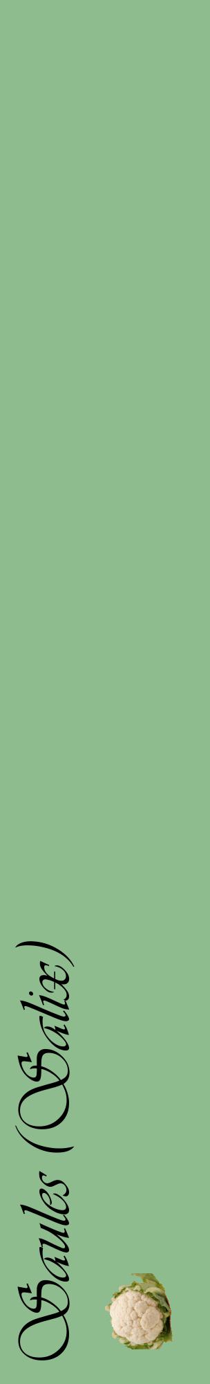 Étiquette de : Salix - format c - style noire13_basiqueviv avec comestibilité simplifiée