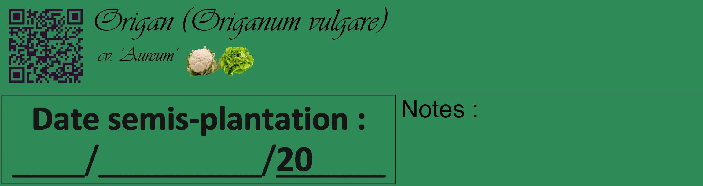 Étiquette de : Origanum vulgare cv. 'Aureum' - format c - style noire11basique_basique_basiqueviv avec qrcode et comestibilité simplifiée