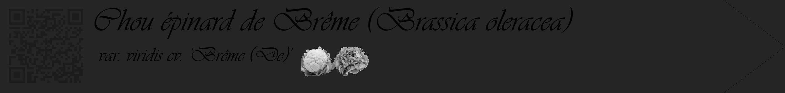 Étiquette de : Brassica oleracea var. viridis cv. 'Brême (De)' - format c - style noire47simple_basique_basiqueviv avec qrcode et comestibilité simplifiée