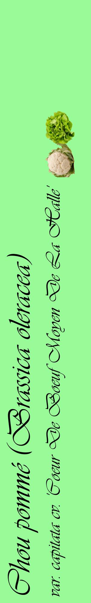 Étiquette de : Brassica oleracea var. capitata cv. 'Coeur De Boeuf Moyen De La Halle' - format c - style noire14_basiqueviv avec comestibilité simplifiée