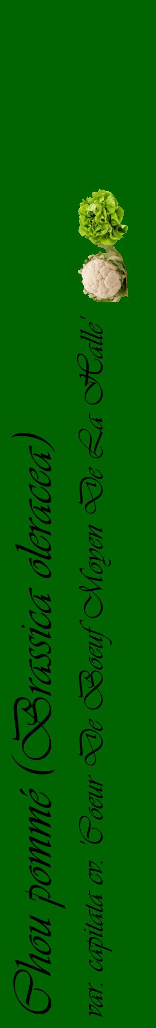 Étiquette de : Brassica oleracea var. capitata cv. 'Coeur De Boeuf Moyen De La Halle' - format c - style noire8_basiqueviv avec comestibilité simplifiée