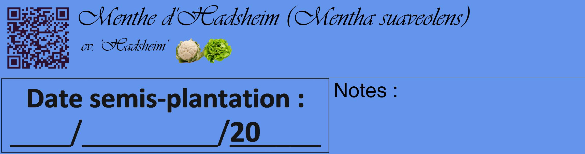 Étiquette de : Mentha suaveolens cv. 'Hadsheim' - format c - style noire4_basique_basiqueviv avec qrcode et comestibilité simplifiée
