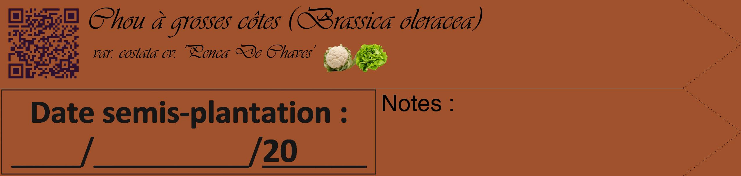 Étiquette de : Brassica oleracea var. costata cv. 'Penca De Chaves' - format c - style noire32simple_basique_basiqueviv avec qrcode et comestibilité simplifiée