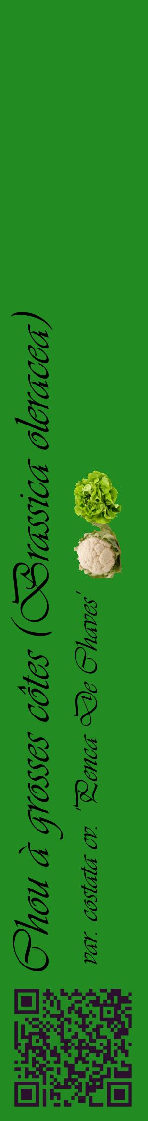 Étiquette de : Brassica oleracea var. costata cv. 'Penca De Chaves' - format c - style noire10_basiqueviv avec qrcode et comestibilité simplifiée