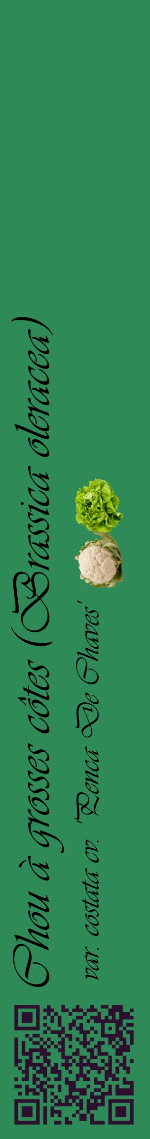 Étiquette de : Brassica oleracea var. costata cv. 'Penca De Chaves' - format c - style noire11_basiqueviv avec qrcode et comestibilité simplifiée