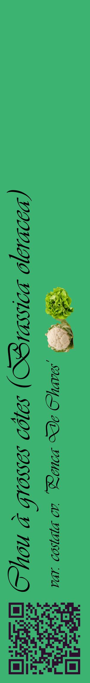Étiquette de : Brassica oleracea var. costata cv. 'Penca De Chaves' - format c - style noire12_basiqueviv avec qrcode et comestibilité simplifiée
