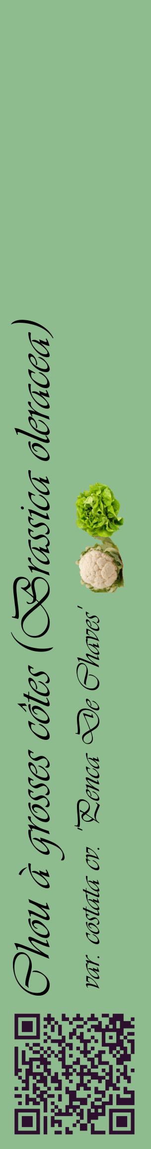 Étiquette de : Brassica oleracea var. costata cv. 'Penca De Chaves' - format c - style noire13_basiqueviv avec qrcode et comestibilité simplifiée
