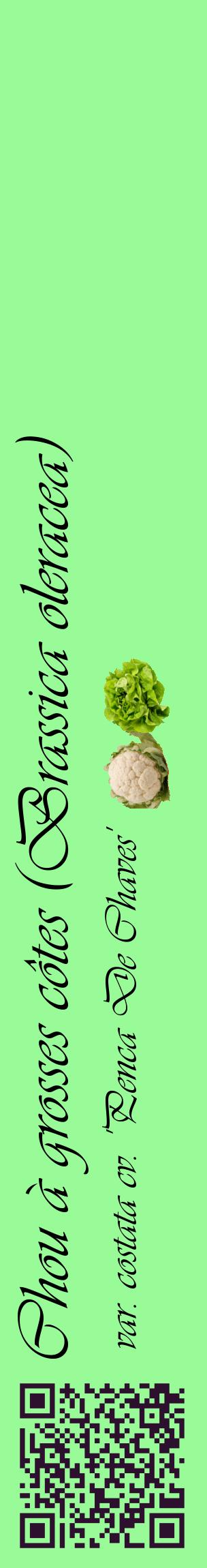 Étiquette de : Brassica oleracea var. costata cv. 'Penca De Chaves' - format c - style noire14_basiqueviv avec qrcode et comestibilité simplifiée