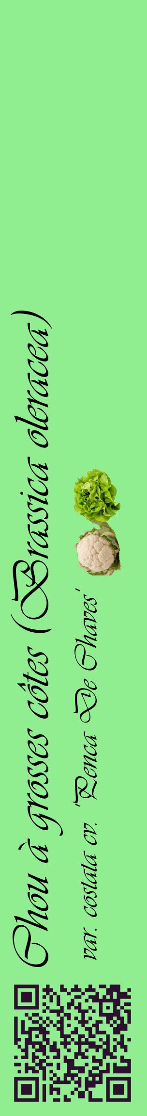Étiquette de : Brassica oleracea var. costata cv. 'Penca De Chaves' - format c - style noire15_basiqueviv avec qrcode et comestibilité simplifiée