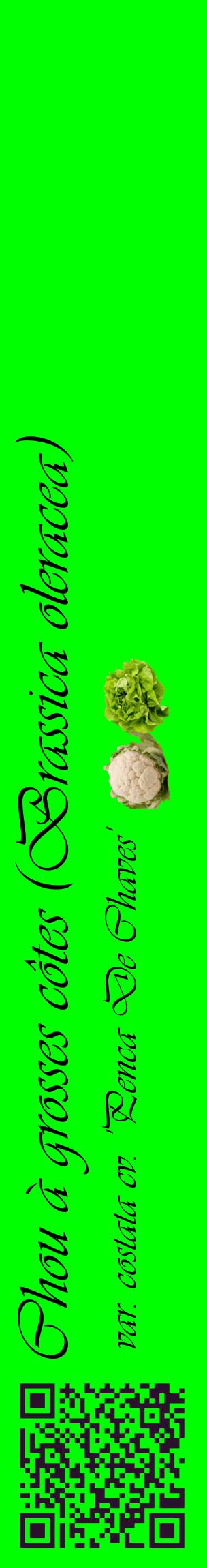 Étiquette de : Brassica oleracea var. costata cv. 'Penca De Chaves' - format c - style noire16_basiqueviv avec qrcode et comestibilité simplifiée