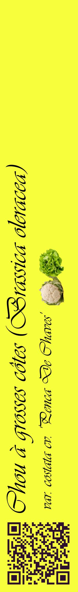 Étiquette de : Brassica oleracea var. costata cv. 'Penca De Chaves' - format c - style noire18_basiqueviv avec qrcode et comestibilité simplifiée