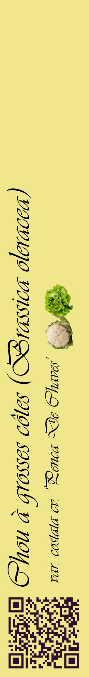 Étiquette de : Brassica oleracea var. costata cv. 'Penca De Chaves' - format c - style noire20_basiqueviv avec qrcode et comestibilité simplifiée