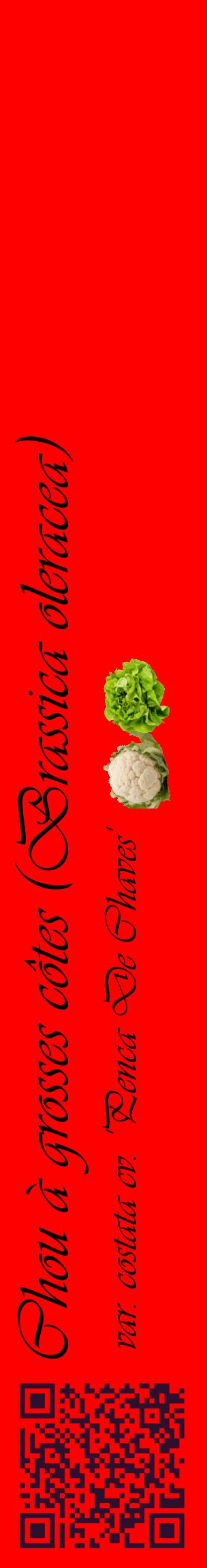 Étiquette de : Brassica oleracea var. costata cv. 'Penca De Chaves' - format c - style noire27_basiqueviv avec qrcode et comestibilité simplifiée