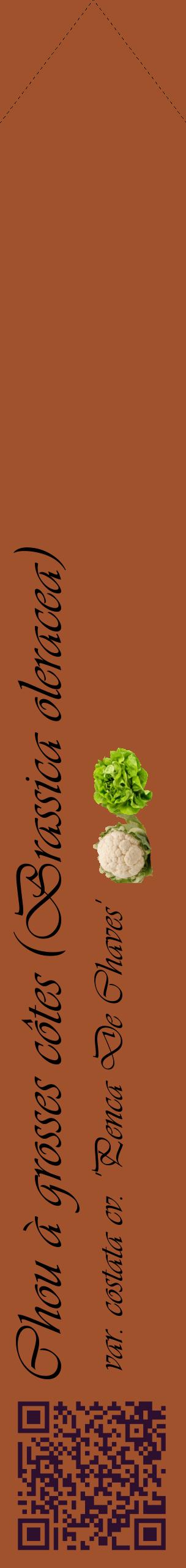 Étiquette de : Brassica oleracea var. costata cv. 'Penca De Chaves' - format c - style noire32simple_basique_basiqueviv avec qrcode et comestibilité simplifiée - position verticale