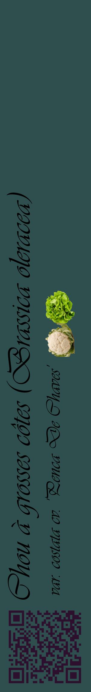 Étiquette de : Brassica oleracea var. costata cv. 'Penca De Chaves' - format c - style noire58_basiqueviv avec qrcode et comestibilité simplifiée