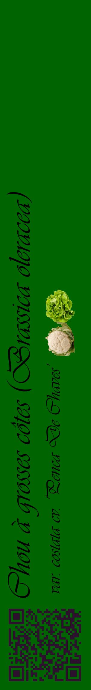 Étiquette de : Brassica oleracea var. costata cv. 'Penca De Chaves' - format c - style noire8_basiqueviv avec qrcode et comestibilité simplifiée