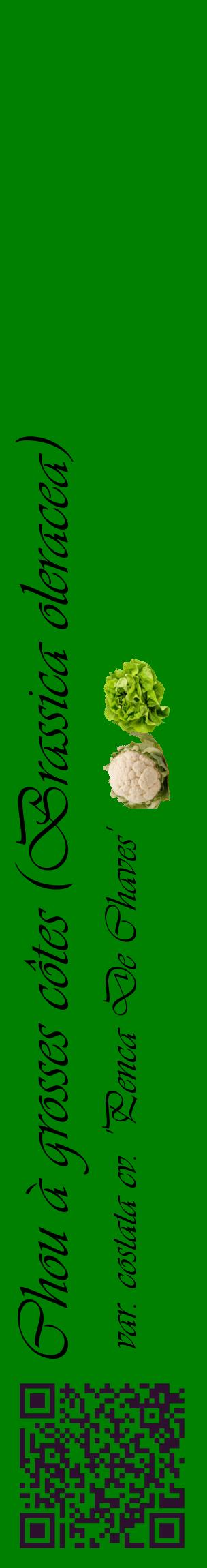 Étiquette de : Brassica oleracea var. costata cv. 'Penca De Chaves' - format c - style noire9_basiqueviv avec qrcode et comestibilité simplifiée
