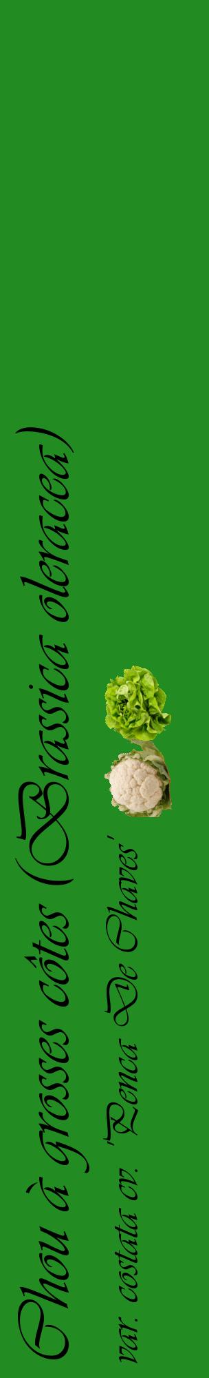 Étiquette de : Brassica oleracea var. costata cv. 'Penca De Chaves' - format c - style noire10_basiqueviv avec comestibilité simplifiée