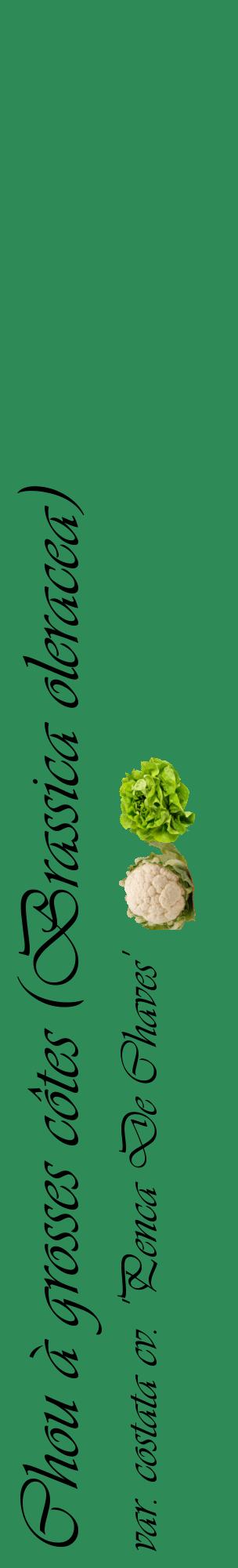 Étiquette de : Brassica oleracea var. costata cv. 'Penca De Chaves' - format c - style noire11_basiqueviv avec comestibilité simplifiée