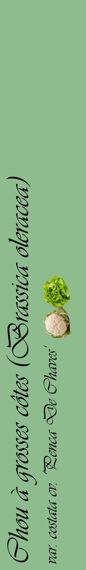 Étiquette de : Brassica oleracea var. costata cv. 'Penca De Chaves' - format c - style noire13_basiqueviv avec comestibilité simplifiée