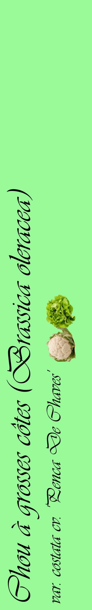 Étiquette de : Brassica oleracea var. costata cv. 'Penca De Chaves' - format c - style noire14_basiqueviv avec comestibilité simplifiée