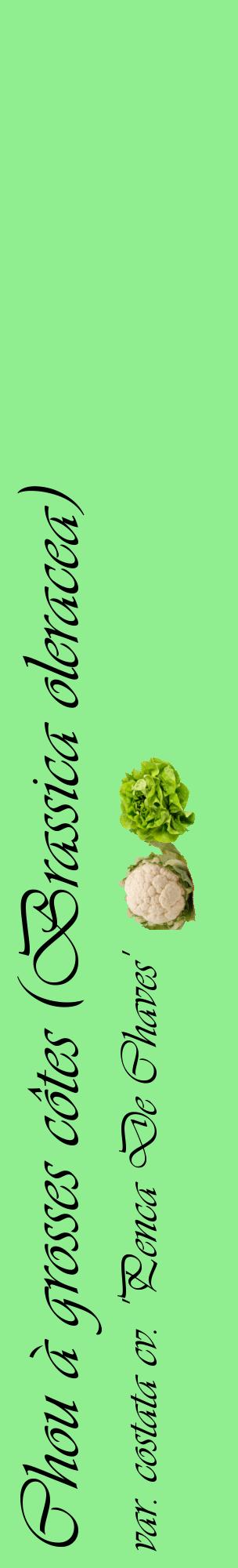 Étiquette de : Brassica oleracea var. costata cv. 'Penca De Chaves' - format c - style noire15_basiqueviv avec comestibilité simplifiée