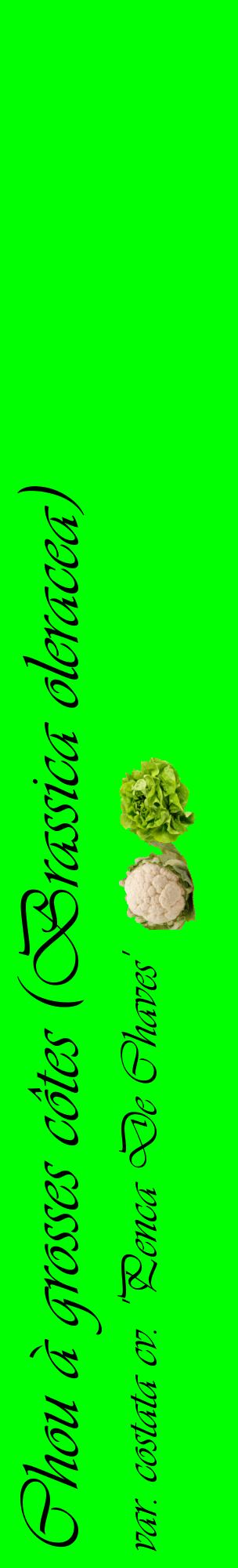Étiquette de : Brassica oleracea var. costata cv. 'Penca De Chaves' - format c - style noire16_basiqueviv avec comestibilité simplifiée