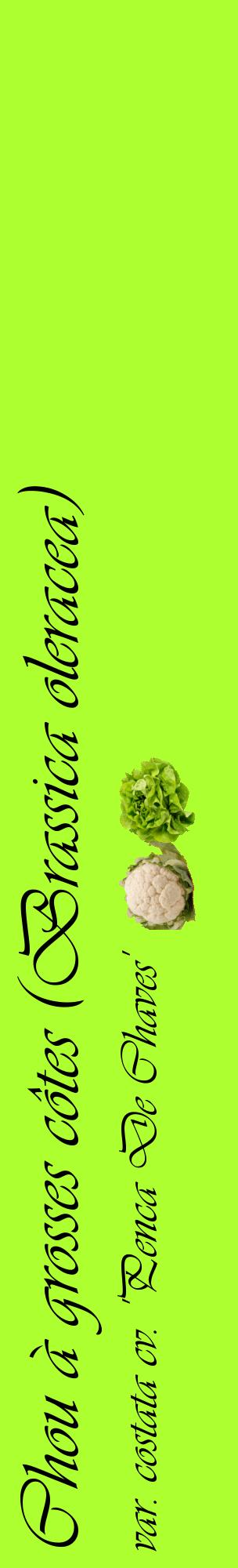 Étiquette de : Brassica oleracea var. costata cv. 'Penca De Chaves' - format c - style noire17_basiqueviv avec comestibilité simplifiée