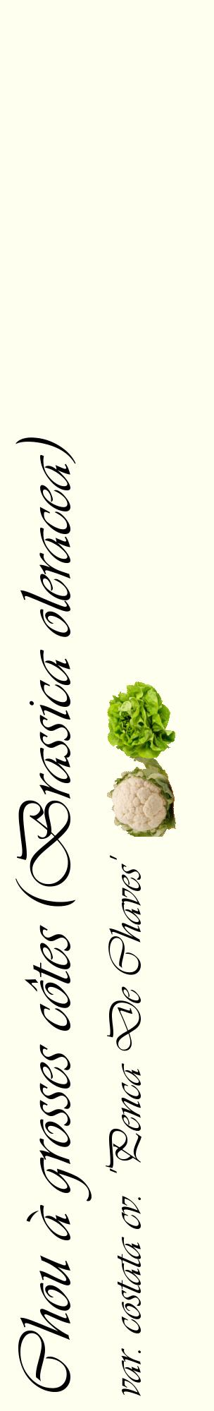 Étiquette de : Brassica oleracea var. costata cv. 'Penca De Chaves' - format c - style noire19_basiqueviv avec comestibilité simplifiée