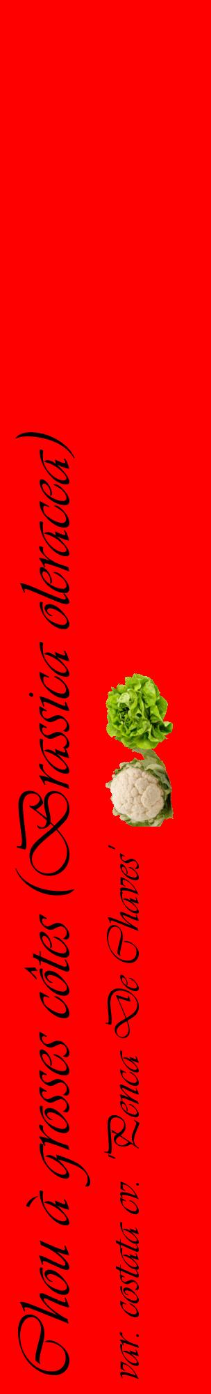 Étiquette de : Brassica oleracea var. costata cv. 'Penca De Chaves' - format c - style noire27_basiqueviv avec comestibilité simplifiée