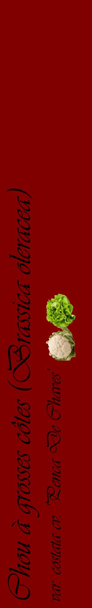 Étiquette de : Brassica oleracea var. costata cv. 'Penca De Chaves' - format c - style noire29_basiqueviv avec comestibilité simplifiée