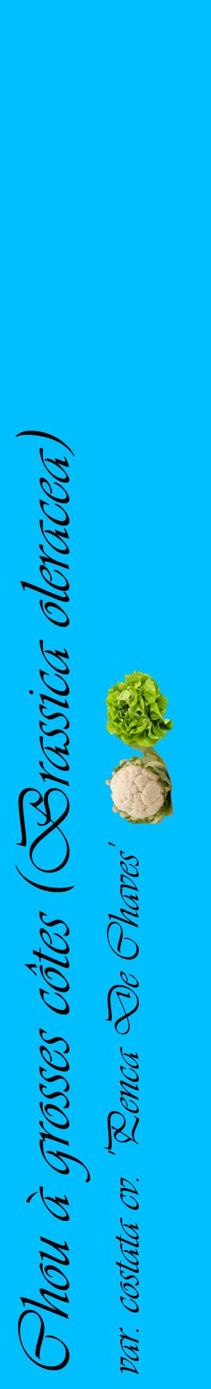Étiquette de : Brassica oleracea var. costata cv. 'Penca De Chaves' - format c - style noire2_basiqueviv avec comestibilité simplifiée