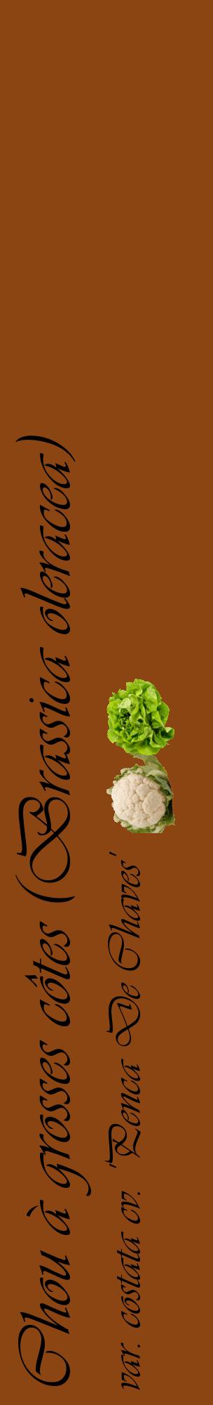 Étiquette de : Brassica oleracea var. costata cv. 'Penca De Chaves' - format c - style noire30_basiqueviv avec comestibilité simplifiée