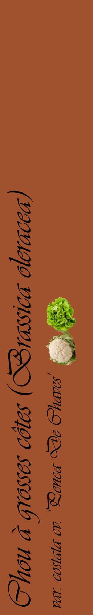 Étiquette de : Brassica oleracea var. costata cv. 'Penca De Chaves' - format c - style noire32_basiqueviv avec comestibilité simplifiée