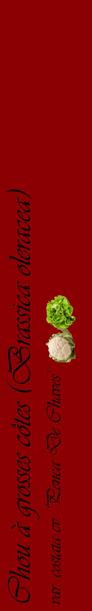 Étiquette de : Brassica oleracea var. costata cv. 'Penca De Chaves' - format c - style noire34_basiqueviv avec comestibilité simplifiée
