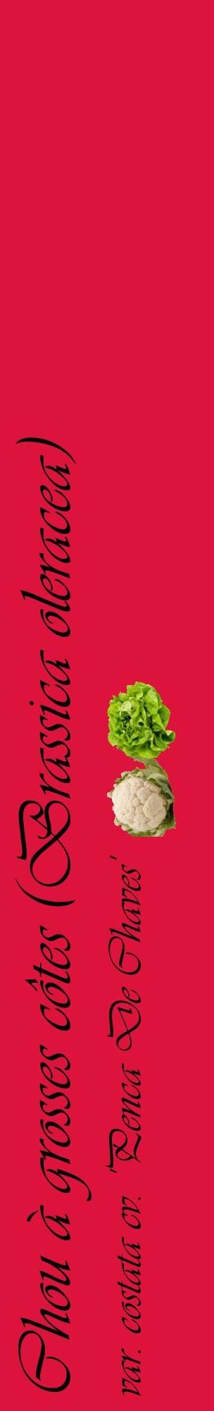 Étiquette de : Brassica oleracea var. costata cv. 'Penca De Chaves' - format c - style noire36_basiqueviv avec comestibilité simplifiée