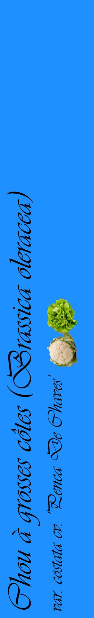 Étiquette de : Brassica oleracea var. costata cv. 'Penca De Chaves' - format c - style noire3_basiqueviv avec comestibilité simplifiée