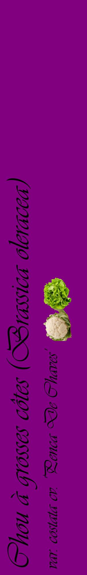 Étiquette de : Brassica oleracea var. costata cv. 'Penca De Chaves' - format c - style noire46_basiqueviv avec comestibilité simplifiée