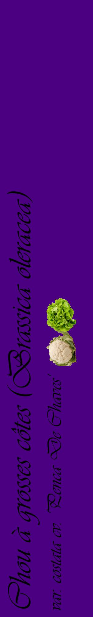 Étiquette de : Brassica oleracea var. costata cv. 'Penca De Chaves' - format c - style noire47_basiqueviv avec comestibilité simplifiée