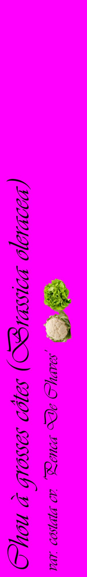 Étiquette de : Brassica oleracea var. costata cv. 'Penca De Chaves' - format c - style noire51_basiqueviv avec comestibilité simplifiée