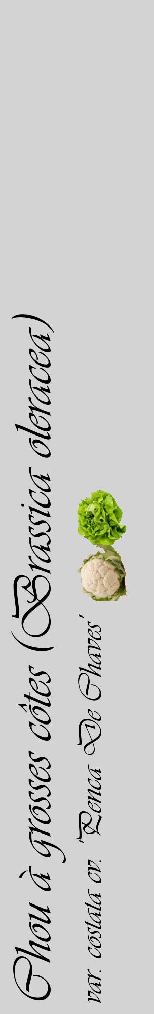 Étiquette de : Brassica oleracea var. costata cv. 'Penca De Chaves' - format c - style noire56_basiqueviv avec comestibilité simplifiée