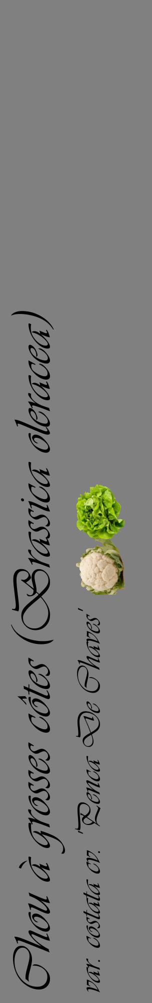 Étiquette de : Brassica oleracea var. costata cv. 'Penca De Chaves' - format c - style noire57_basiqueviv avec comestibilité simplifiée