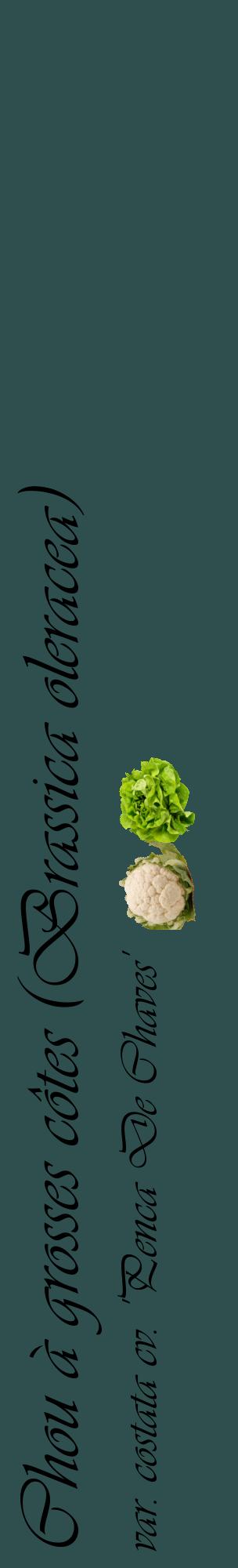 Étiquette de : Brassica oleracea var. costata cv. 'Penca De Chaves' - format c - style noire58_basiqueviv avec comestibilité simplifiée